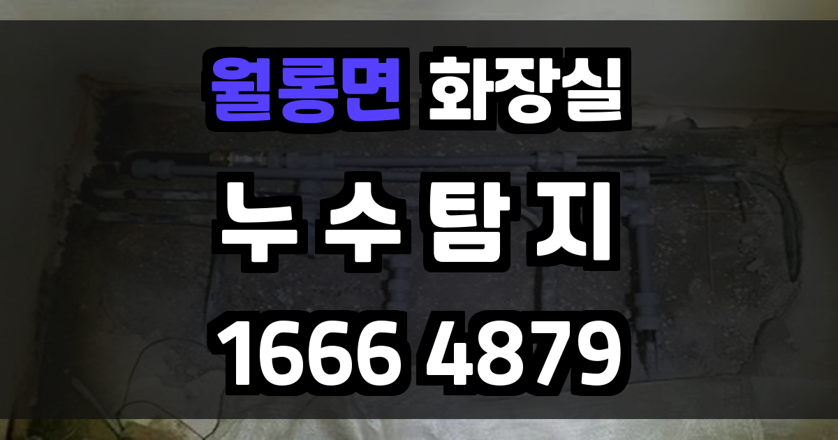 월롱면 화장실 누수