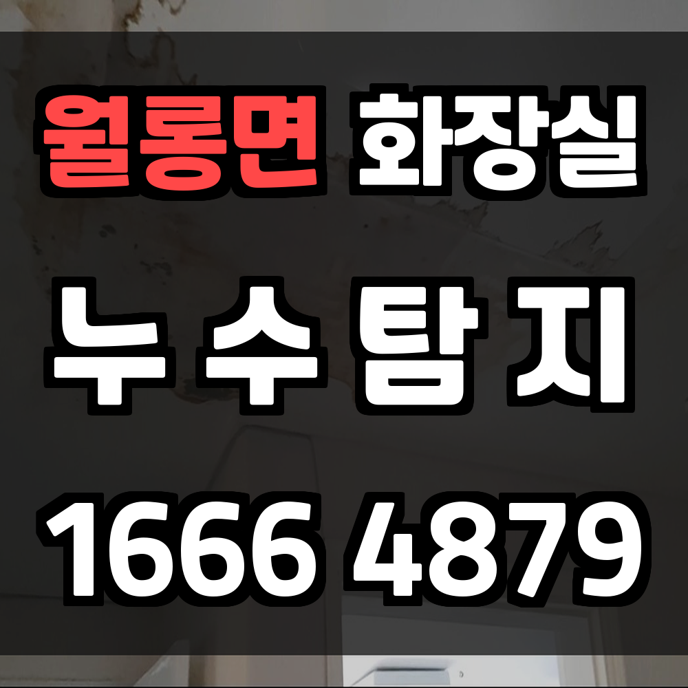월롱면 화장실 누수탐지로 생활 불편과 피해를 한 번에 해결