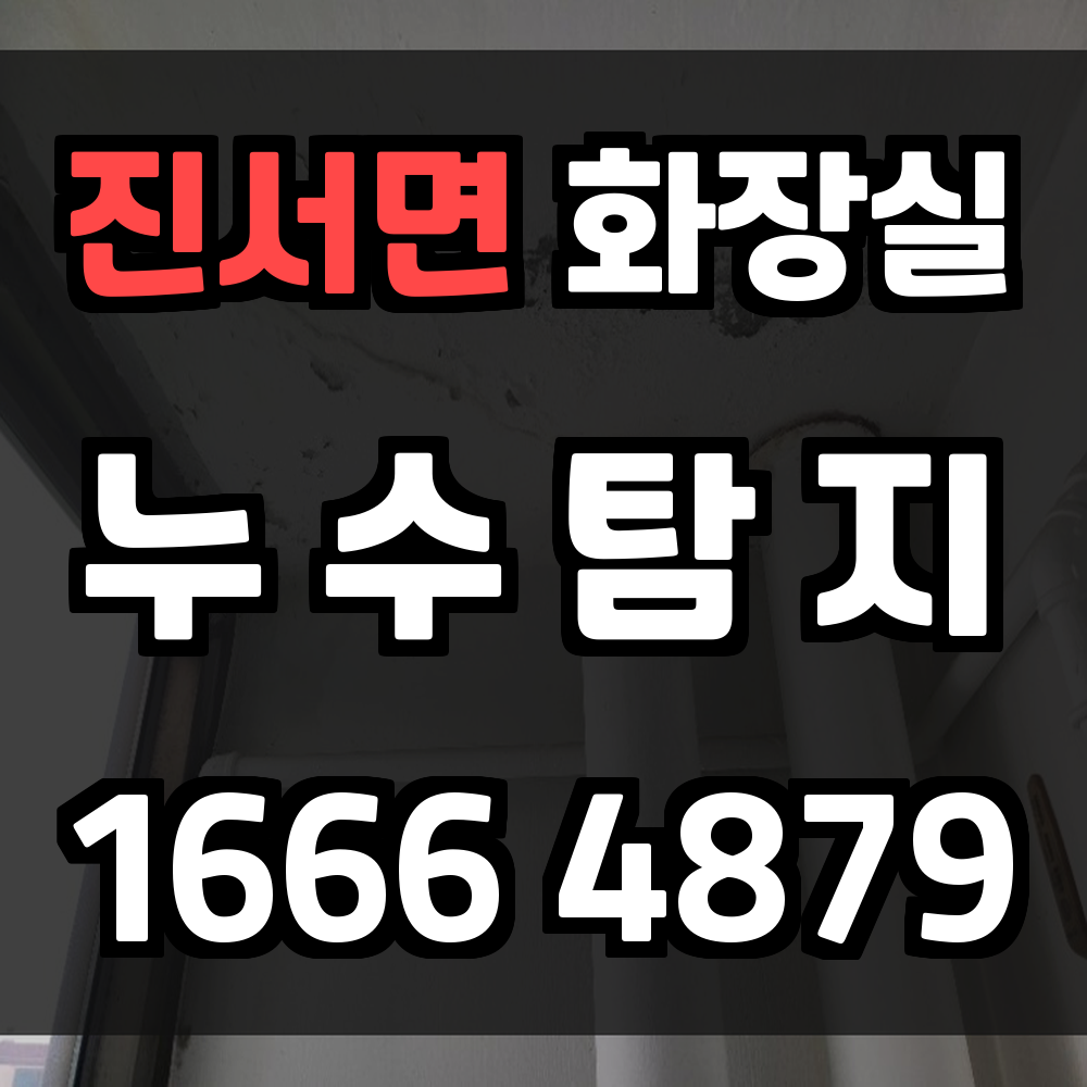 진서면 화장실 누수탐지로 주거 안전과 편안함을 확보하세요