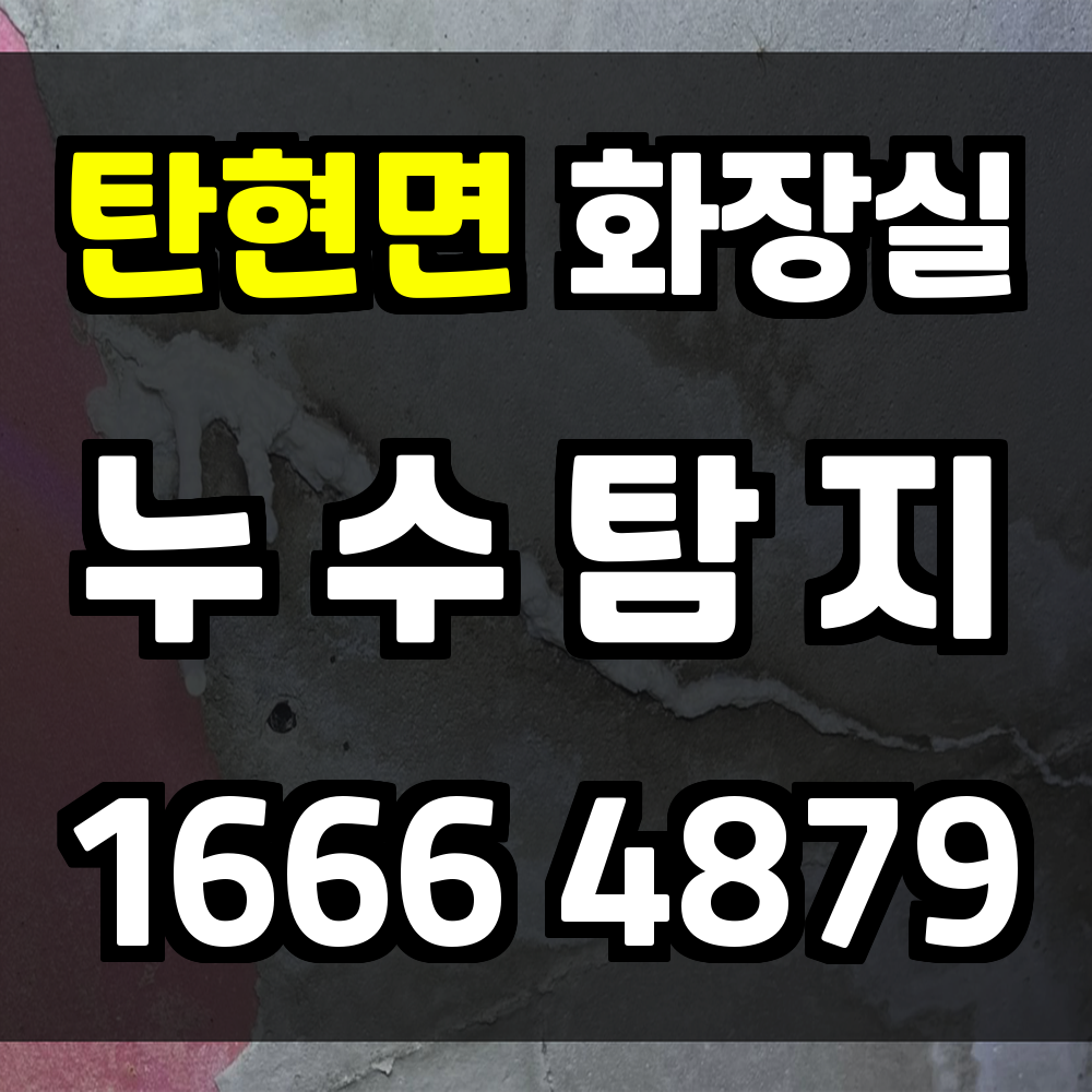 탄현면 화장실 누수탐지로 신속한 진단과 복구를 한 번에