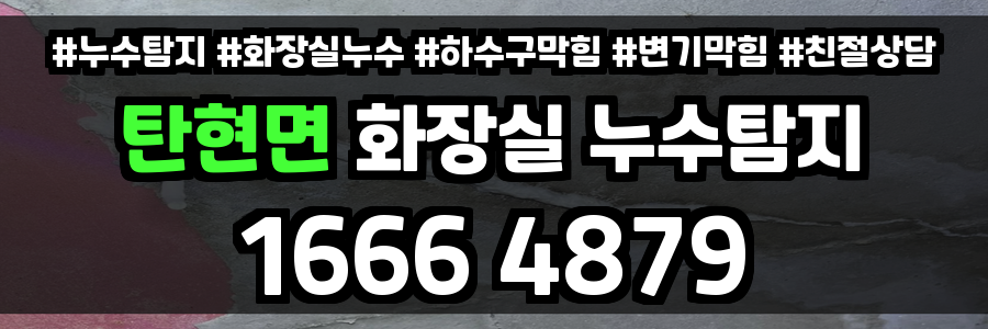 탄현면 화장실 누수