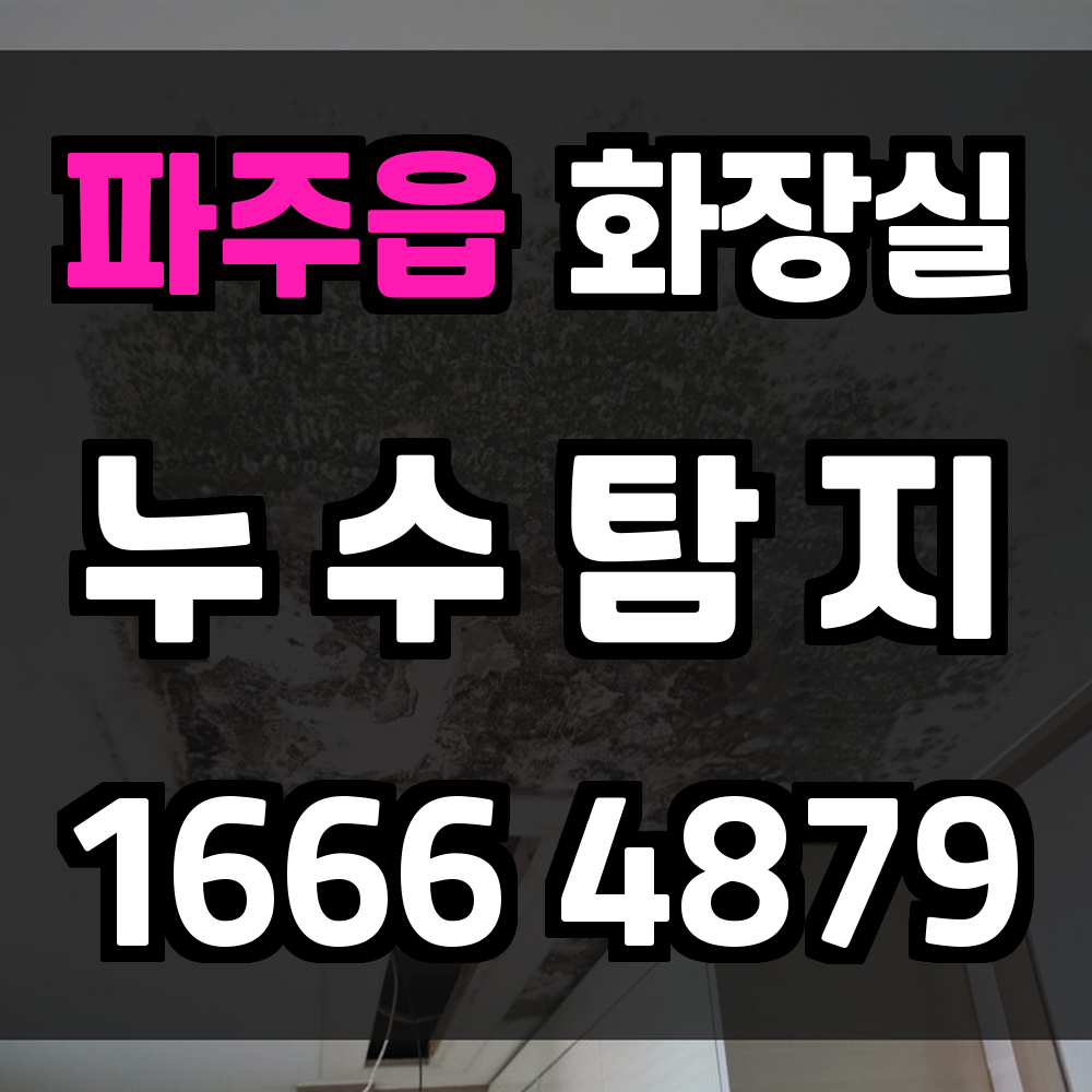 파주읍 화장실 누수탐지로 생활 불편과 비용 부담을 줄이세요