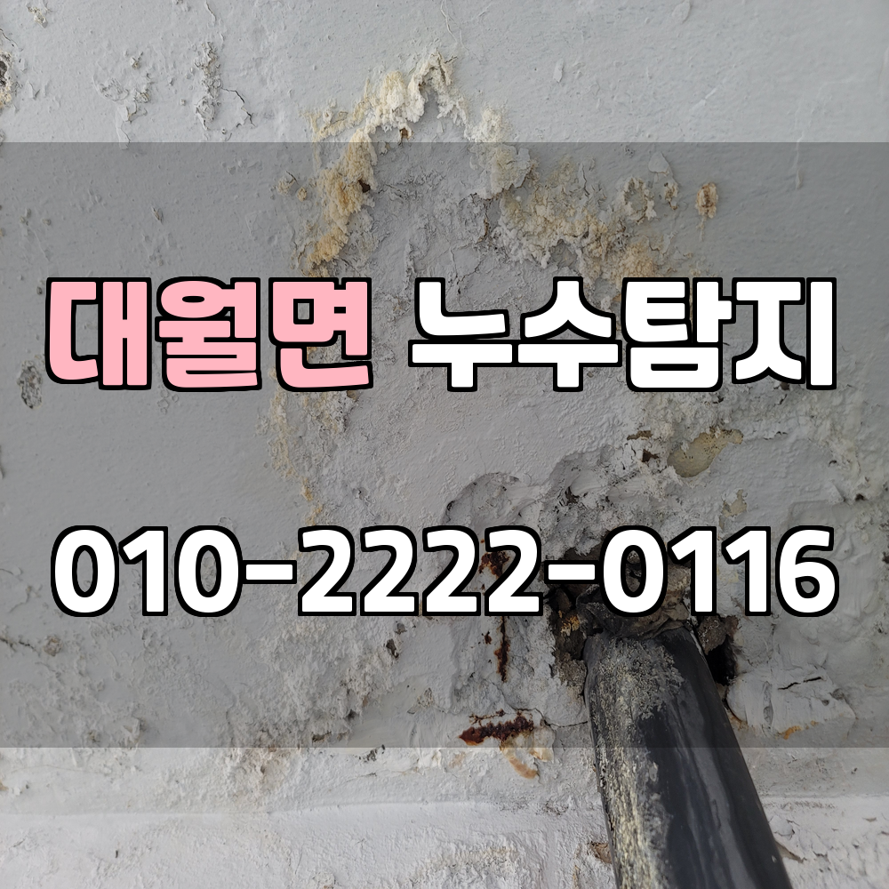 대월면 누수탐지 서비스 지역