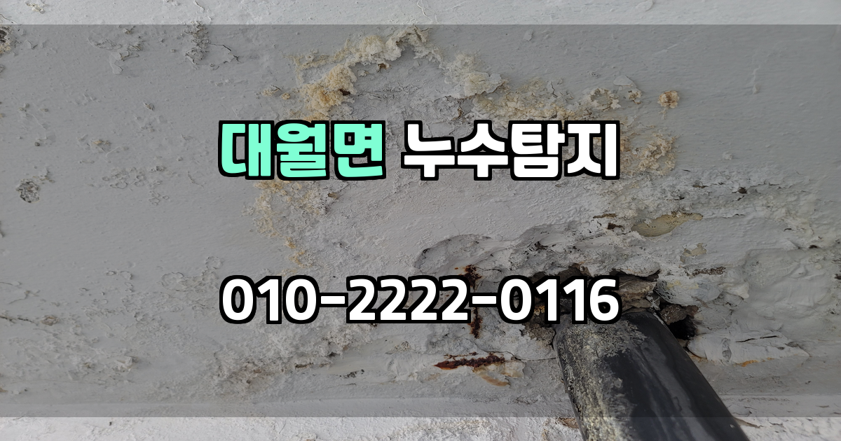 대월면 누수탐지