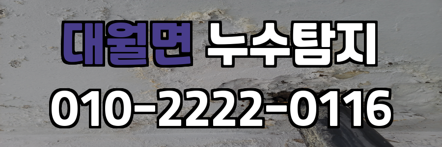 대월면 누수탐지 비용