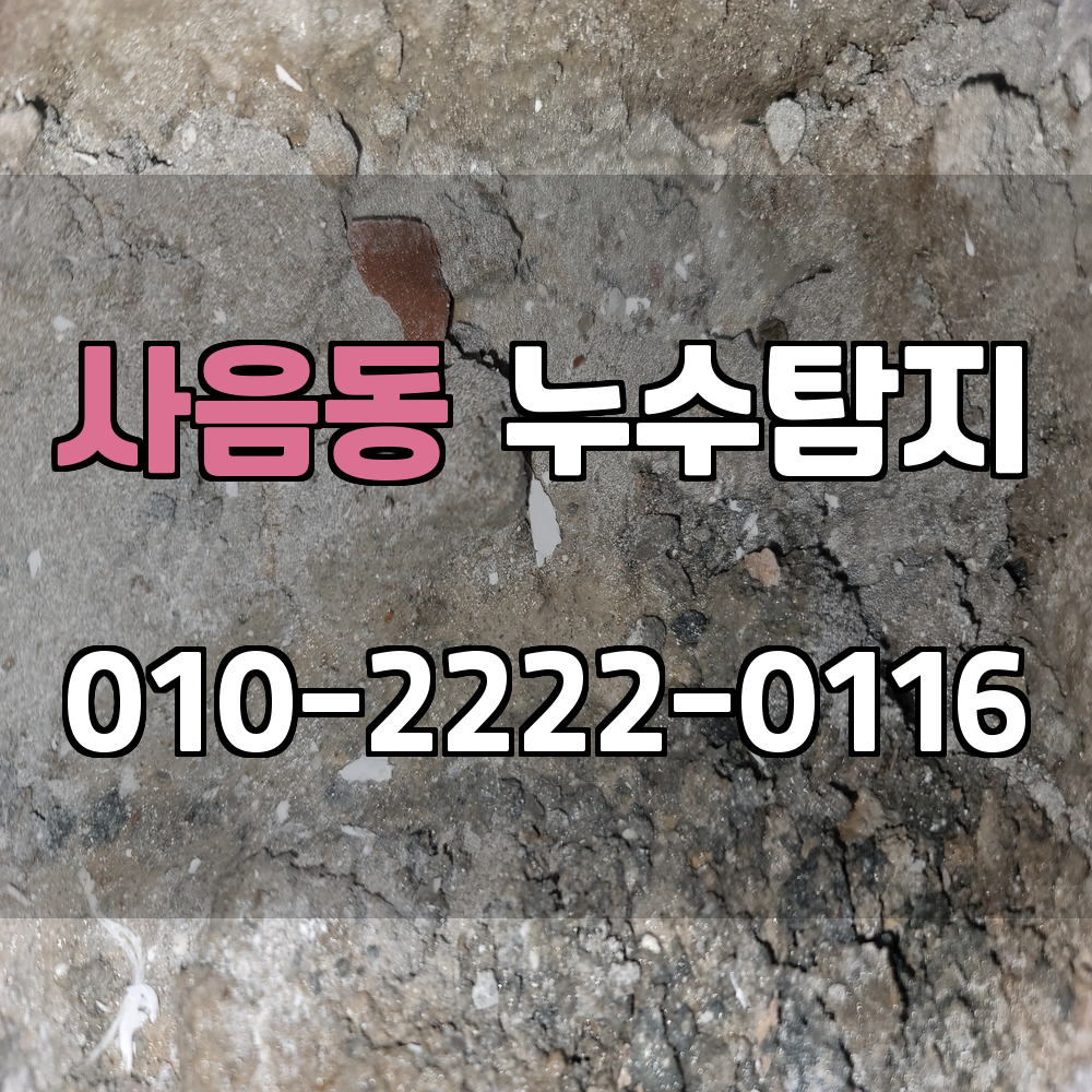 사음동 누수탐지 서비스 지역