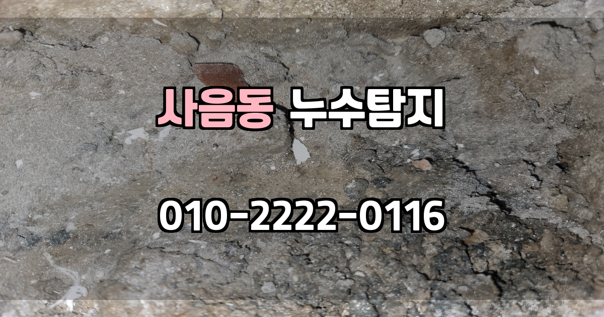 사음동 누수탐지