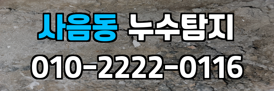 사음동 누수탐지 비용
