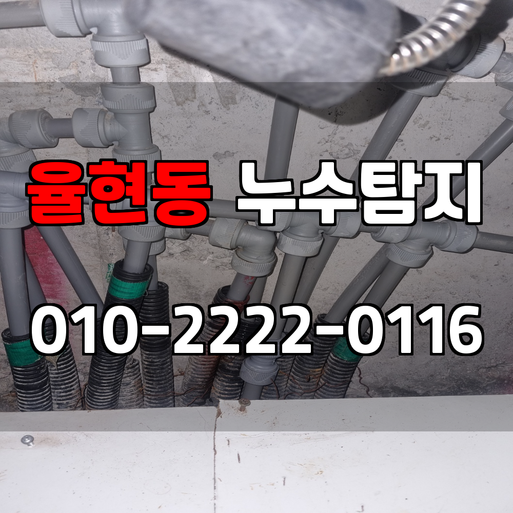 율현동 누수탐지 서비스 지역