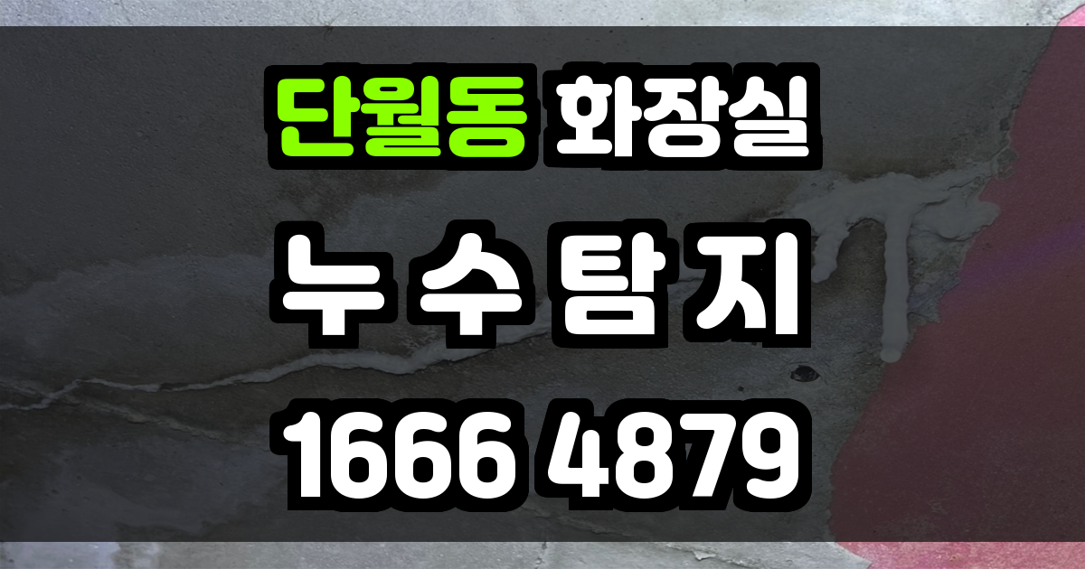 단월동 화장실 누수