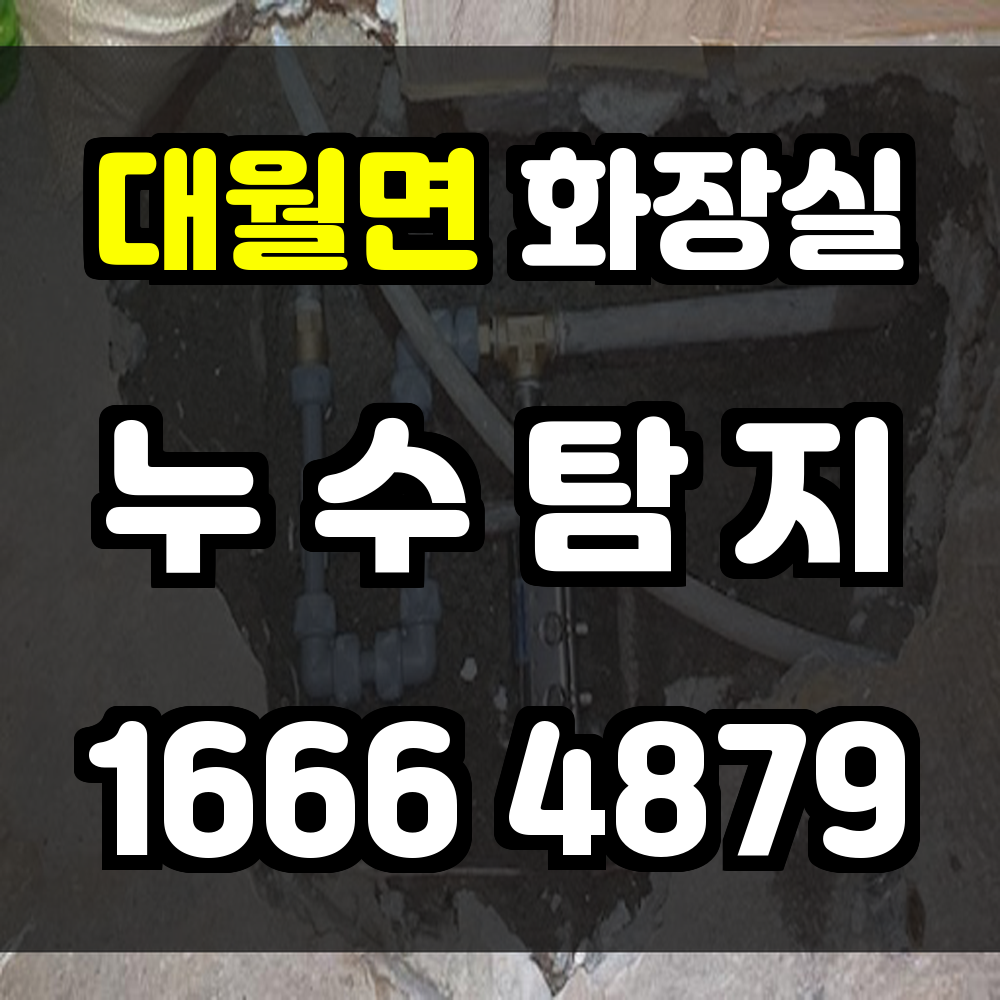 대월면 화장실 누수