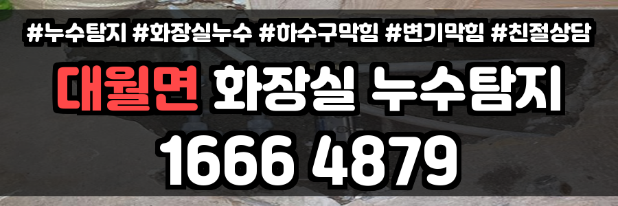 대월면 화장실 누수