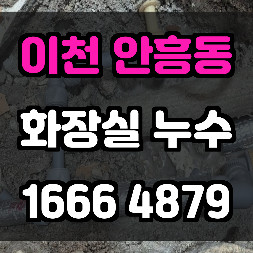 이천 안흥동 화장실 누수