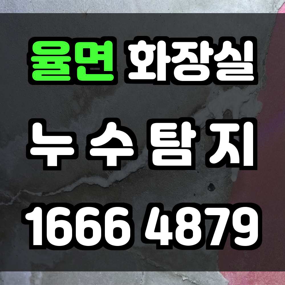 율면 화장실 누수