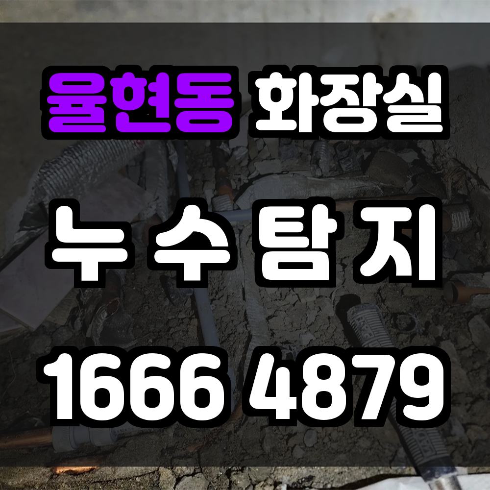 율현동 화장실 누수탐지 확실한 진단으로 쾌적한 주거공간을 지켜드립니다