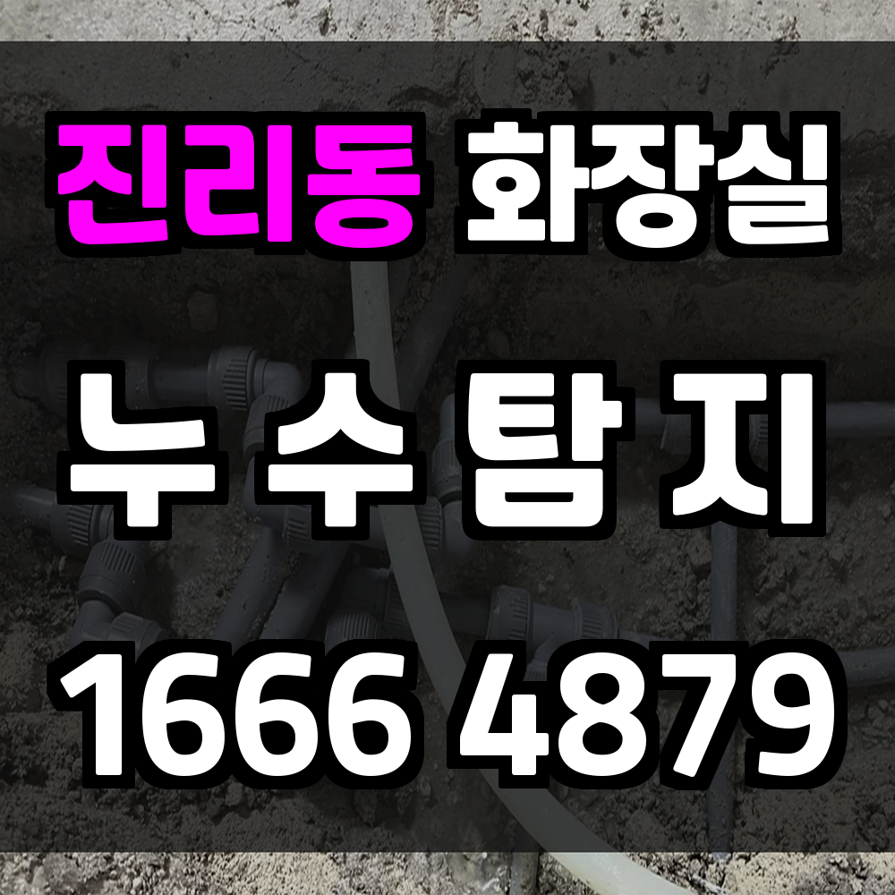 진리동 화장실 누수탐지 조기발견으로 피해 예방하세요