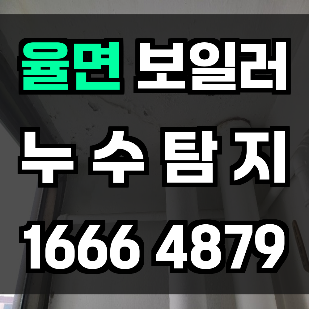 율면 보일러 누수탐지 숨어 있는 누수도 놓치지 않습니다