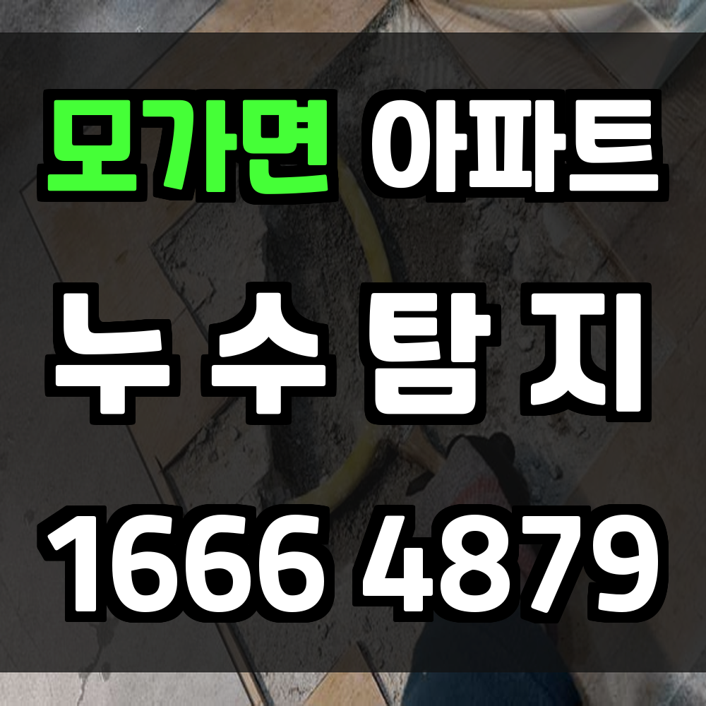 모가면 아파트 누수탐지 빠르고 정확한 문제 해결