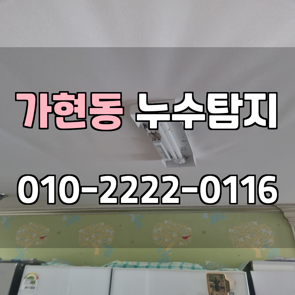 가현동 누수탐지 서비스 지역