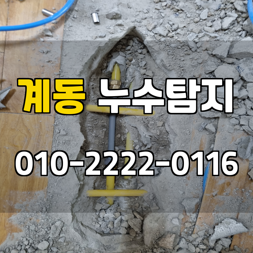 계동 누수탐지 서비스 지역