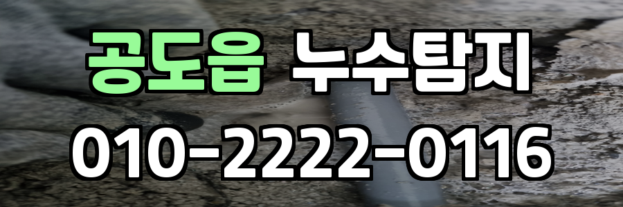 공도읍 누수탐지 비용