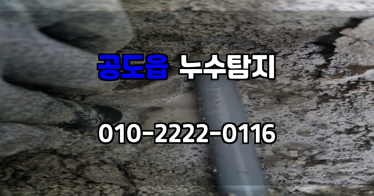 공도읍 누수탐지