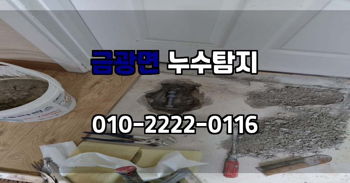 금광면 누수탐지