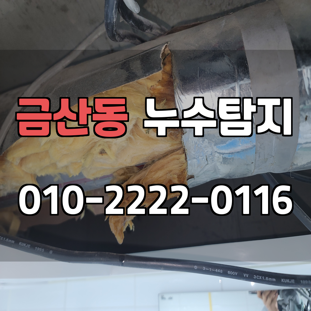 금산동 누수탐지 서비스 지역
