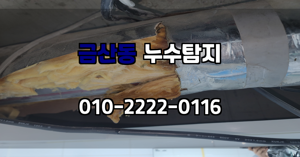 금산동 누수탐지
