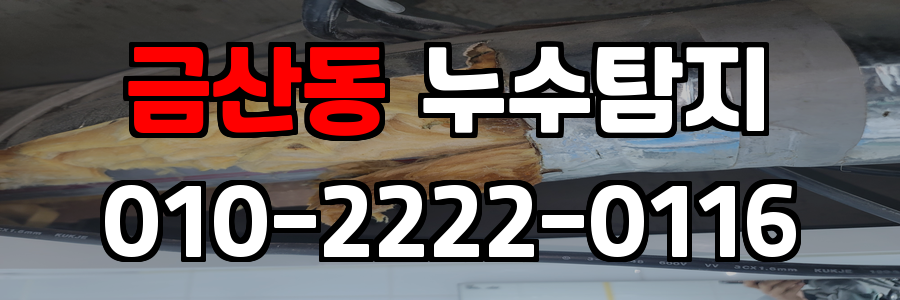 금산동 누수탐지 비용