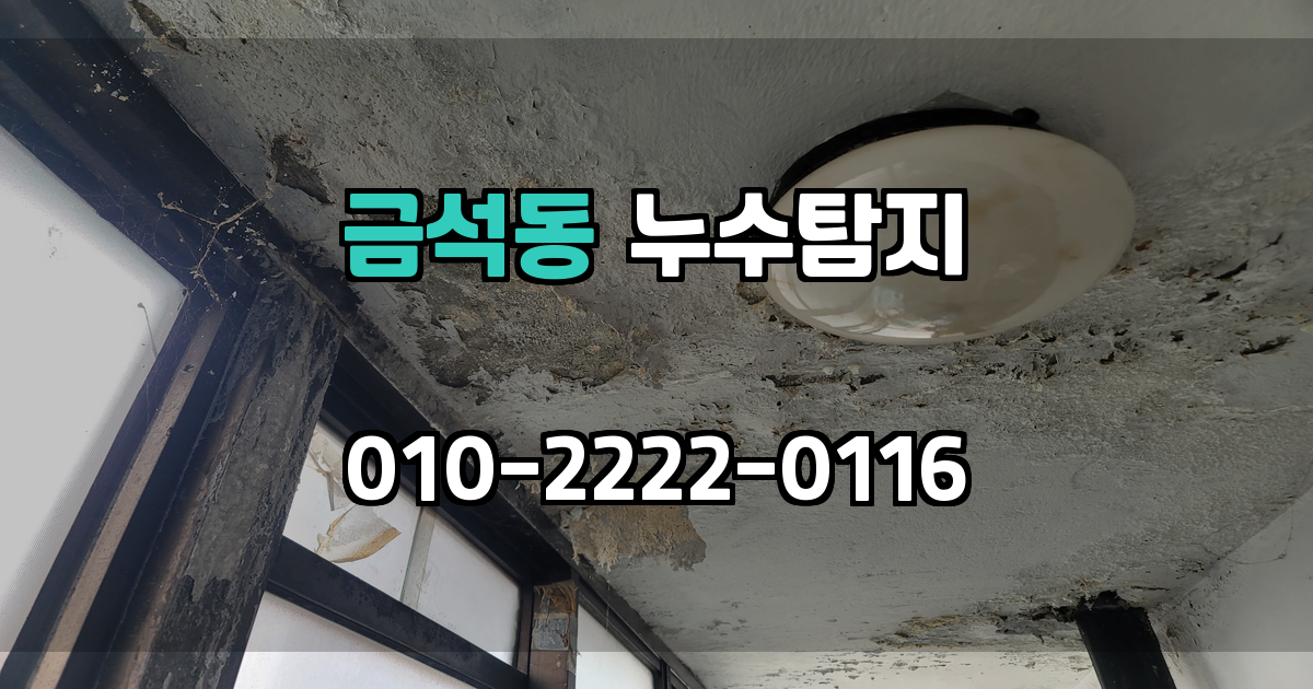금석동 누수탐지