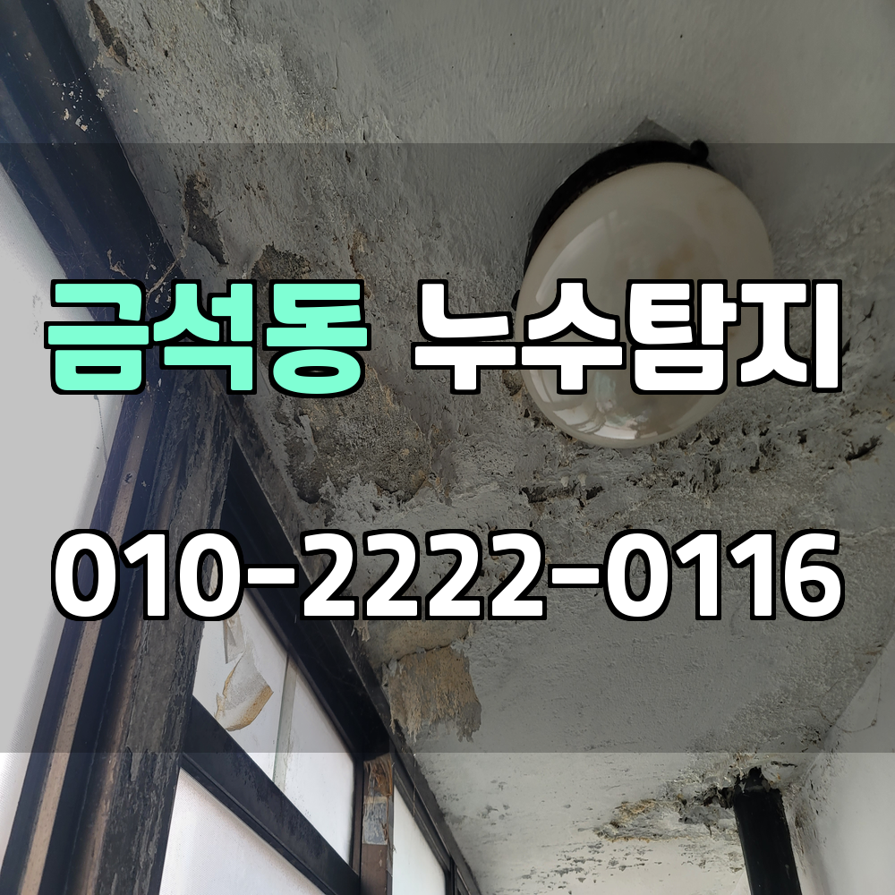 금석동 누수탐지 서비스 지역