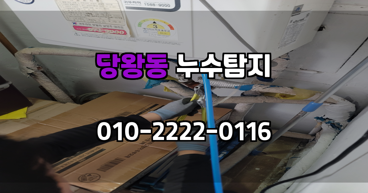 당왕동 누수탐지