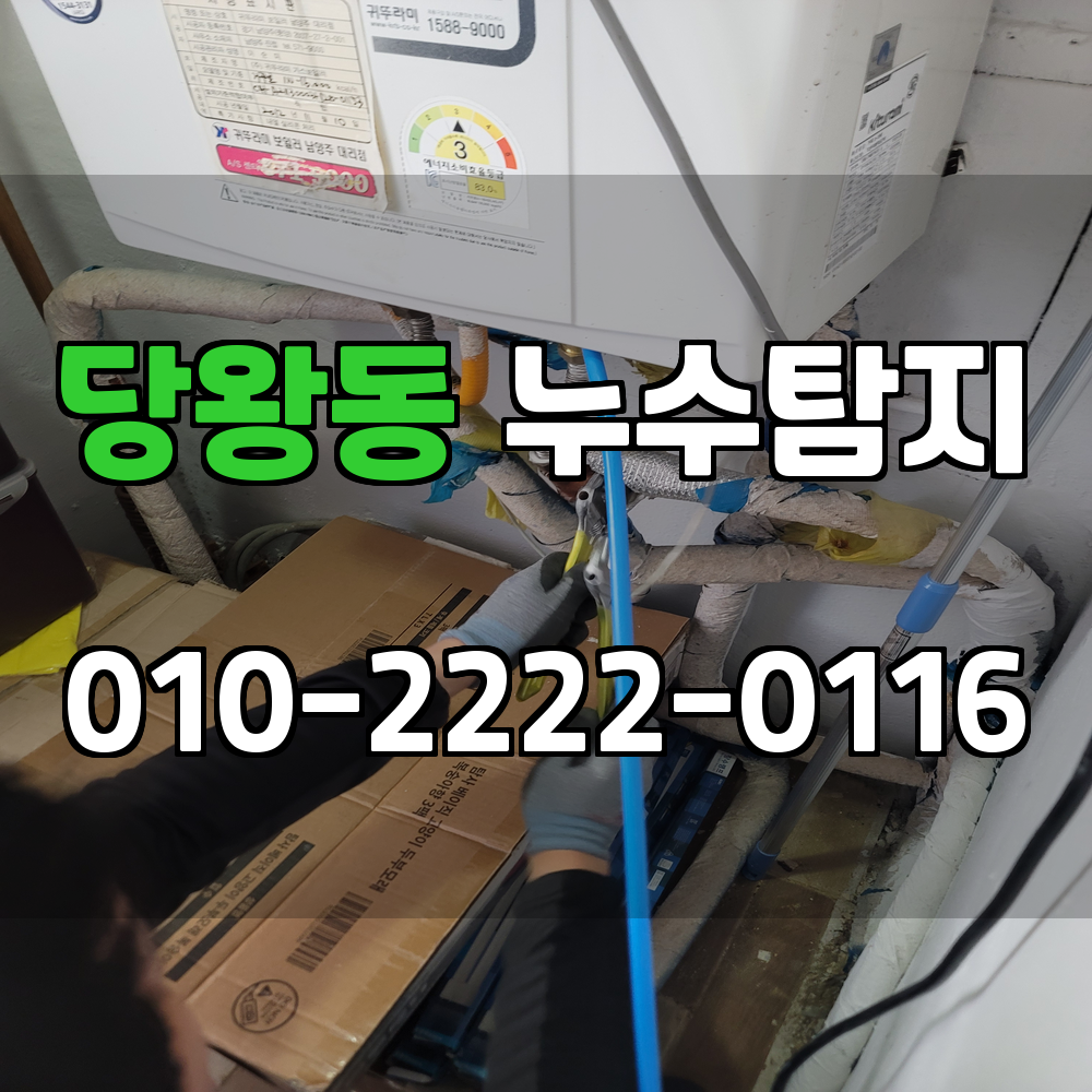 당왕동 누수탐지 서비스 지역