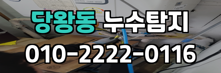 당왕동 누수탐지 비용