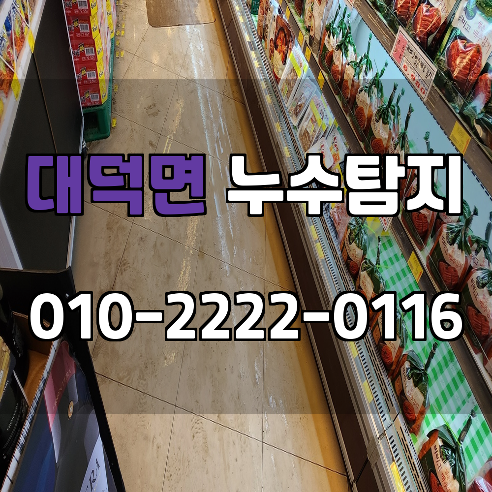 대덕면 누수탐지 서비스 지역