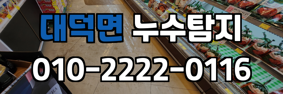 대덕면 누수탐지 비용