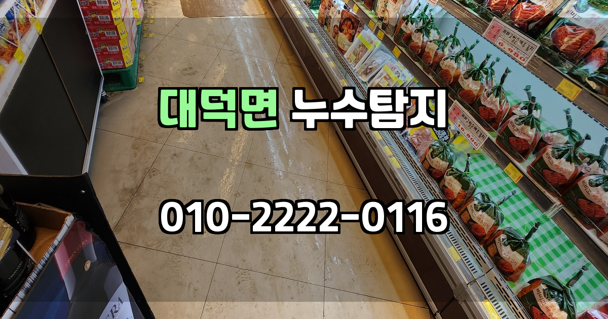 대덕면 누수탐지