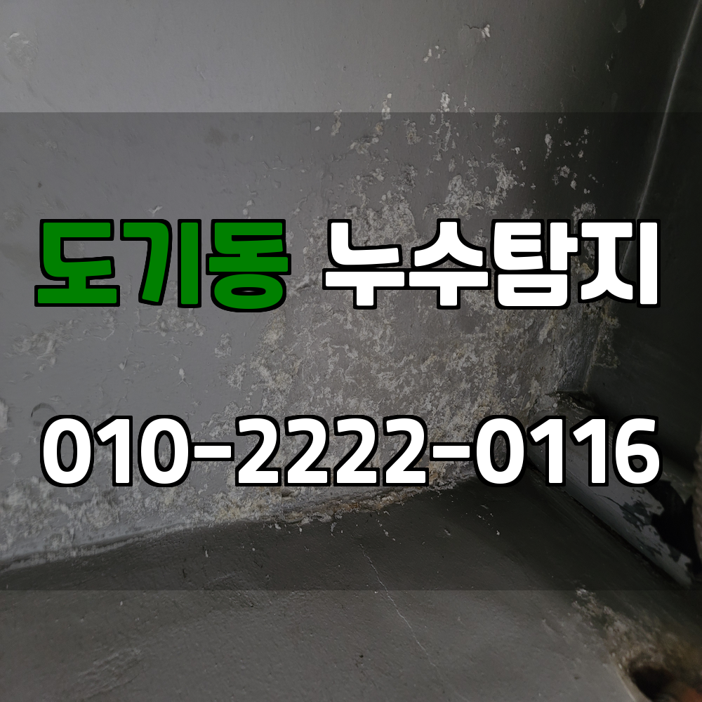 도기동 누수탐지 서비스 지역