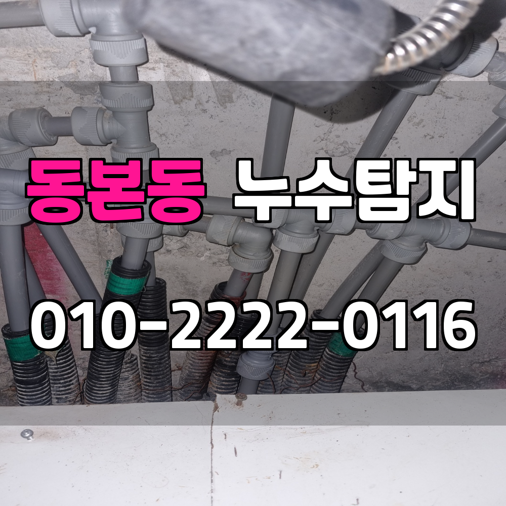 동본동 누수탐지 서비스 지역