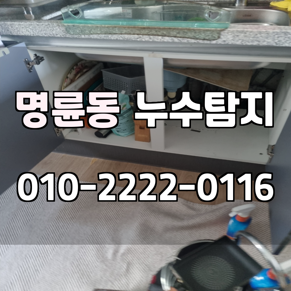 명륜동 누수탐지 서비스 지역