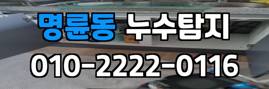 명륜동 누수탐지 비용