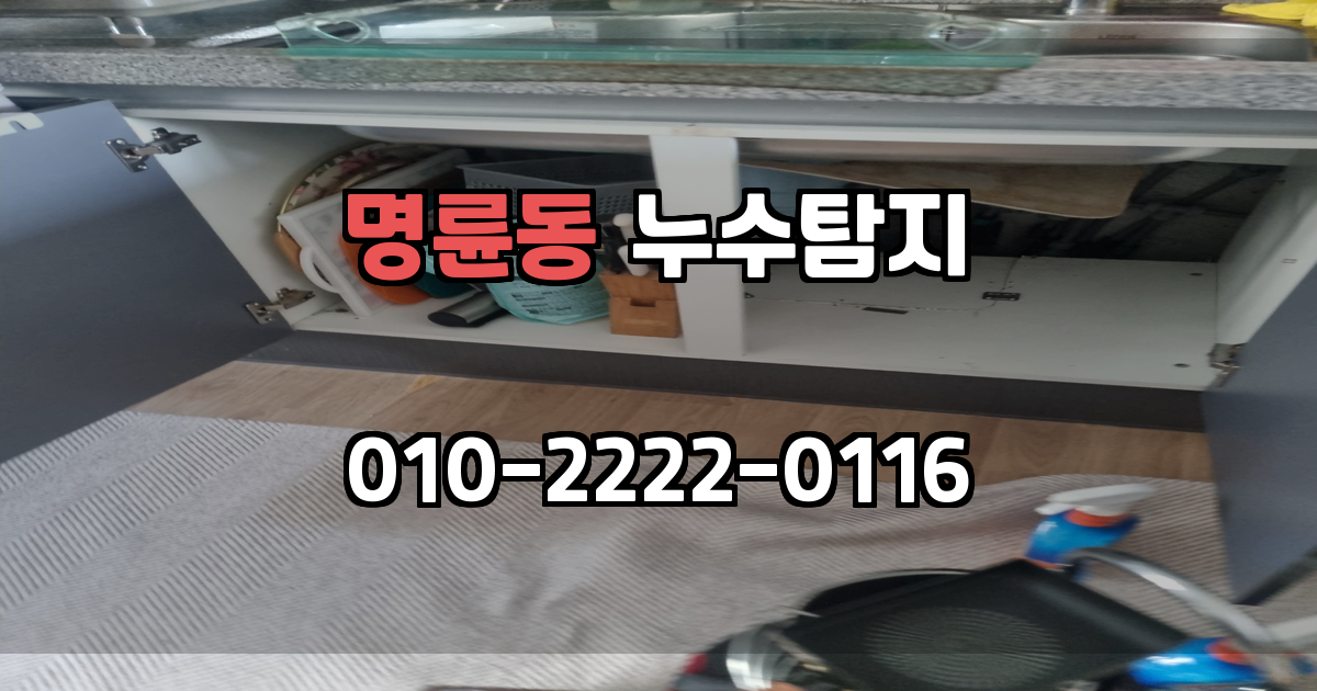 명륜동 누수탐지