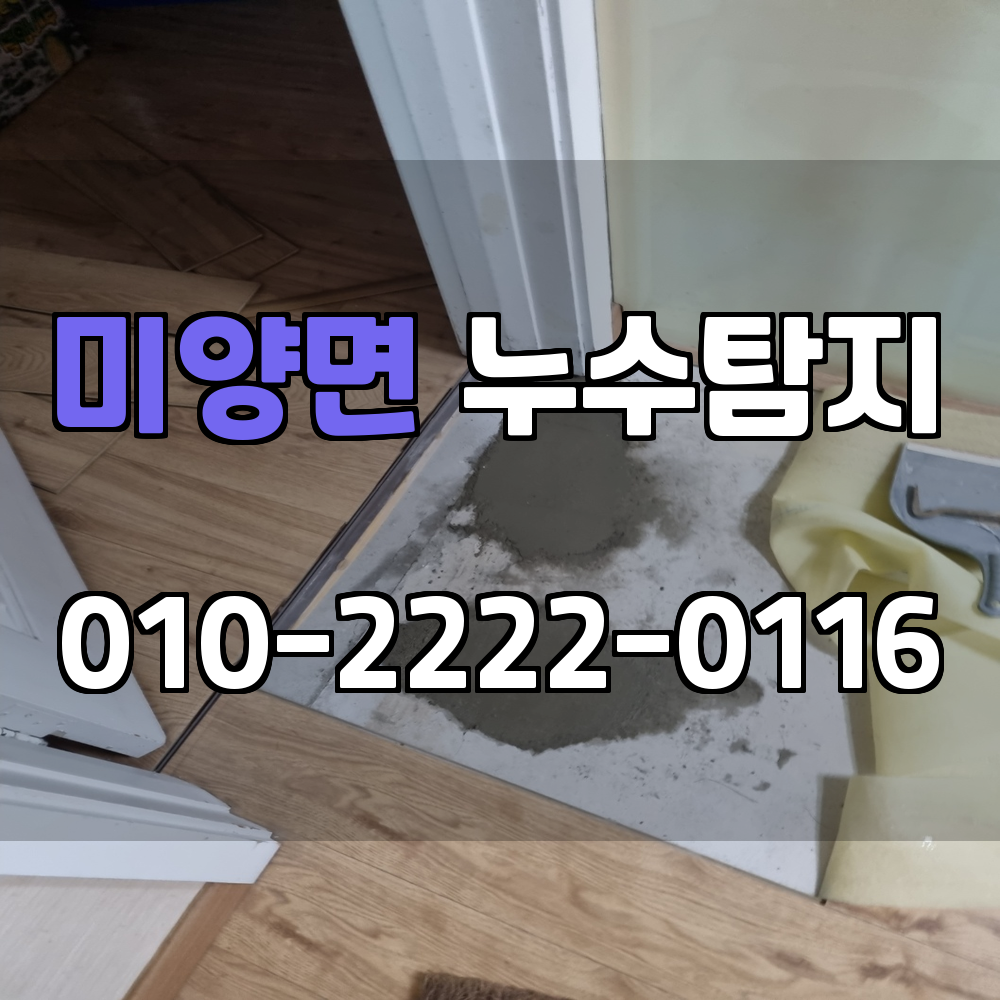 미양면 누수탐지 서비스 지역