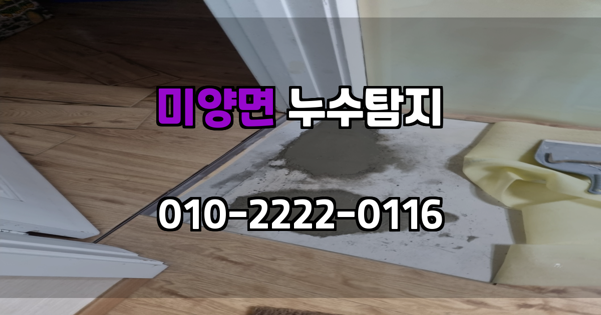 미양면 누수탐지