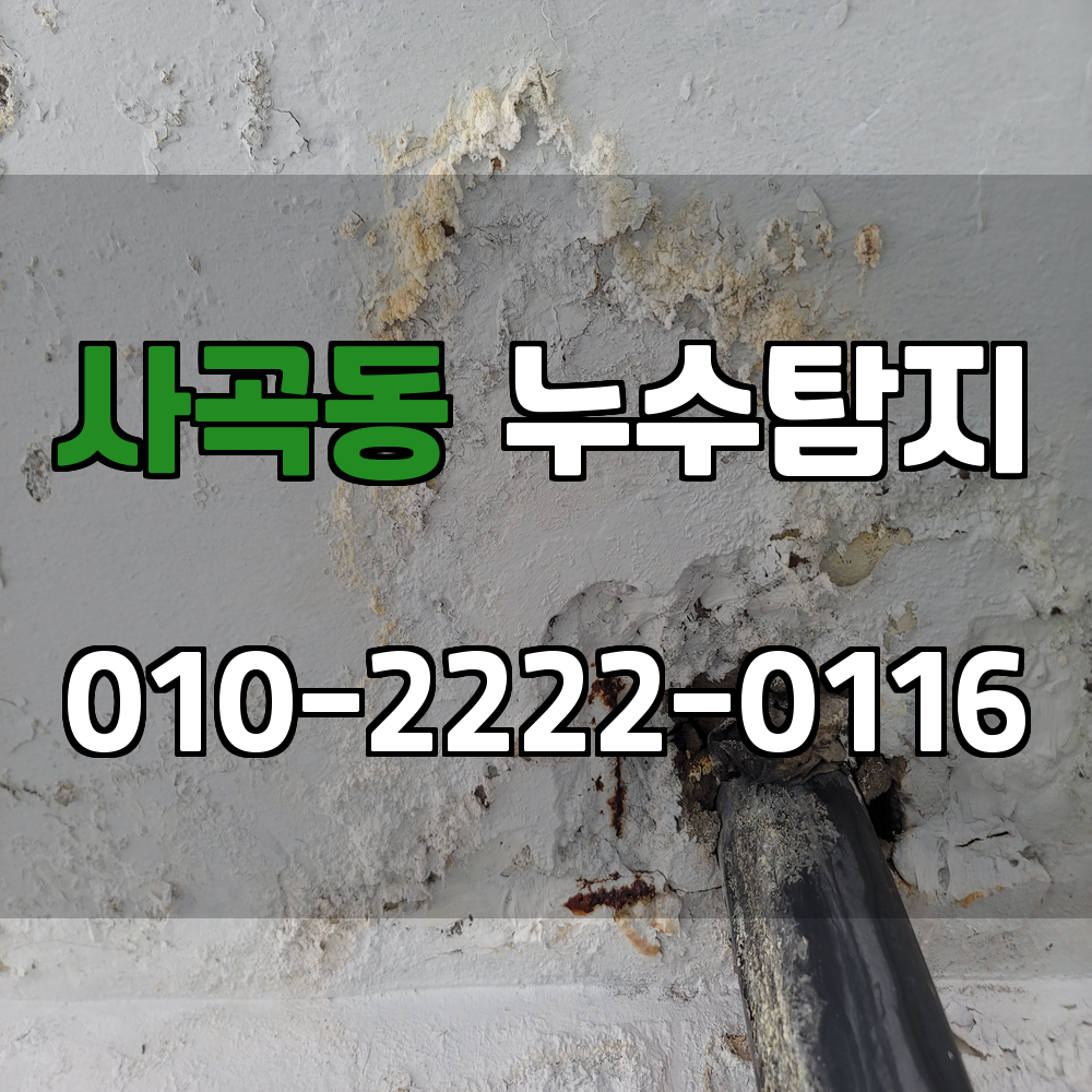 사곡동 누수탐지 서비스 지역