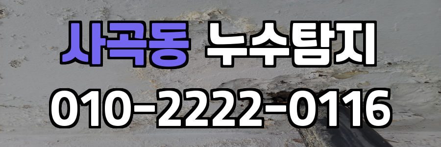 사곡동 누수탐지 비용