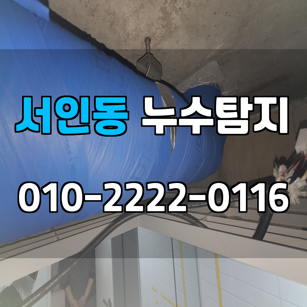 서인동 누수탐지 서비스 지역