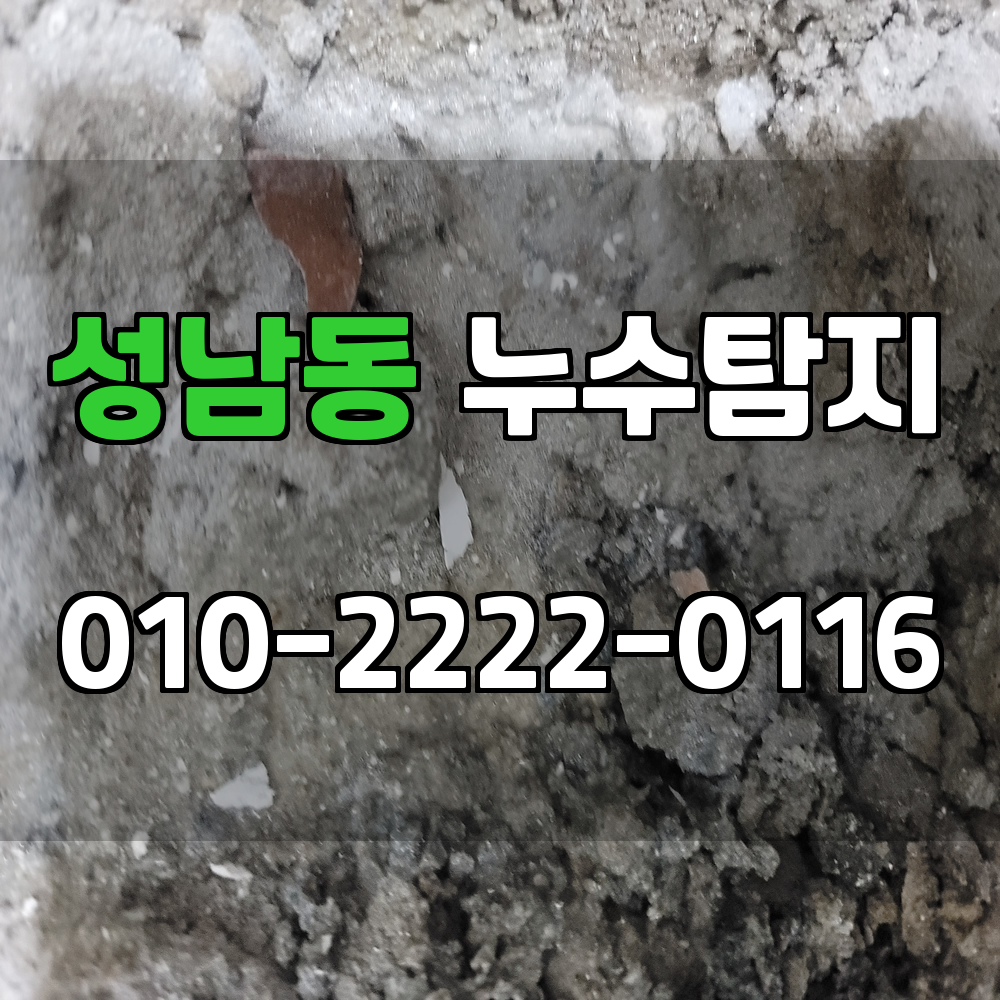 성남동 누수탐지 서비스 지역