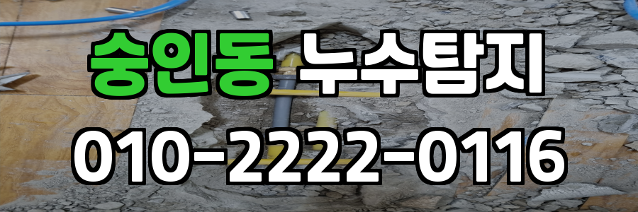 숭인동 누수탐지 비용